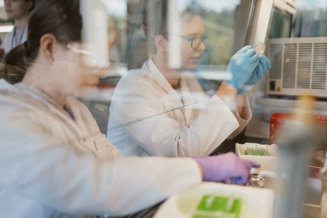 Vilnius University students at the laboratory