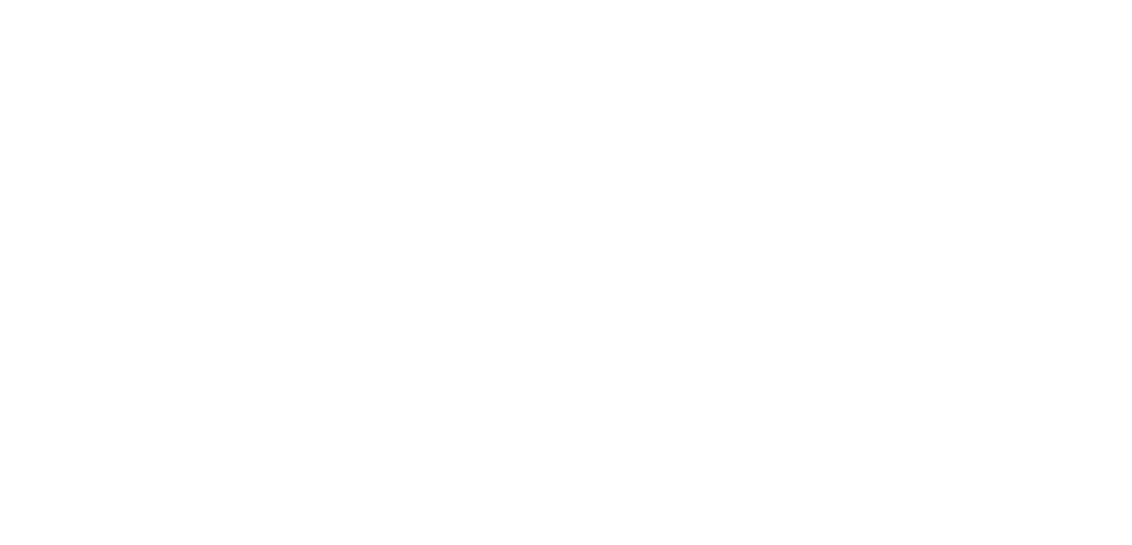 Vilniaus universiteto logotipas